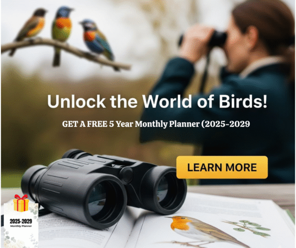 the beginner’s guide to bird watching + free pet care planner