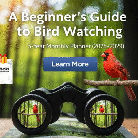 the beginner’s guide to bird watching + free pet care planner