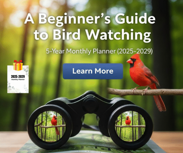 the beginner’s guide to bird watching + free pet care planner