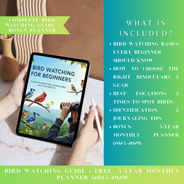 the beginner’s guide to bird watching + free pet care planner
