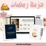 copie de copy of mrr 1 reel digital product mock up listing templates (5)